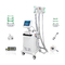 Cryolipolysis Machine Cryo Lipolaser RF Cavitation 4 In 1 Fat Freezer System for Body Slimming