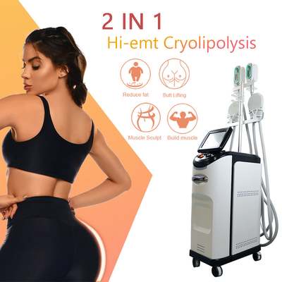 Cryolipolyse EMS মেশিন 360 Cryo Fat ফ্রিজিং সেলুলাইট অপসারণ