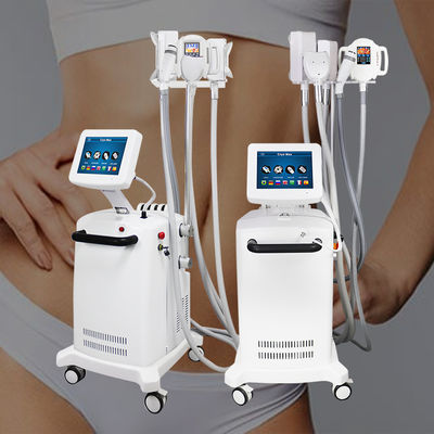 Cryolipolysis ফ্যাট গলানোর মেশিন 360 ডিগ্রী