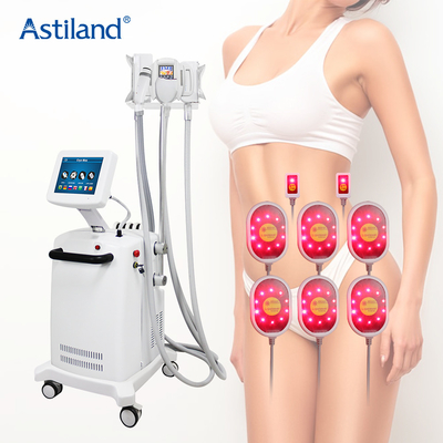 Astiland Cryolipolysis ফ্যাট ফ্রিজিং মেশিন স্পা বিউটি ইকুইপমেন্ট সরবরাহ করে